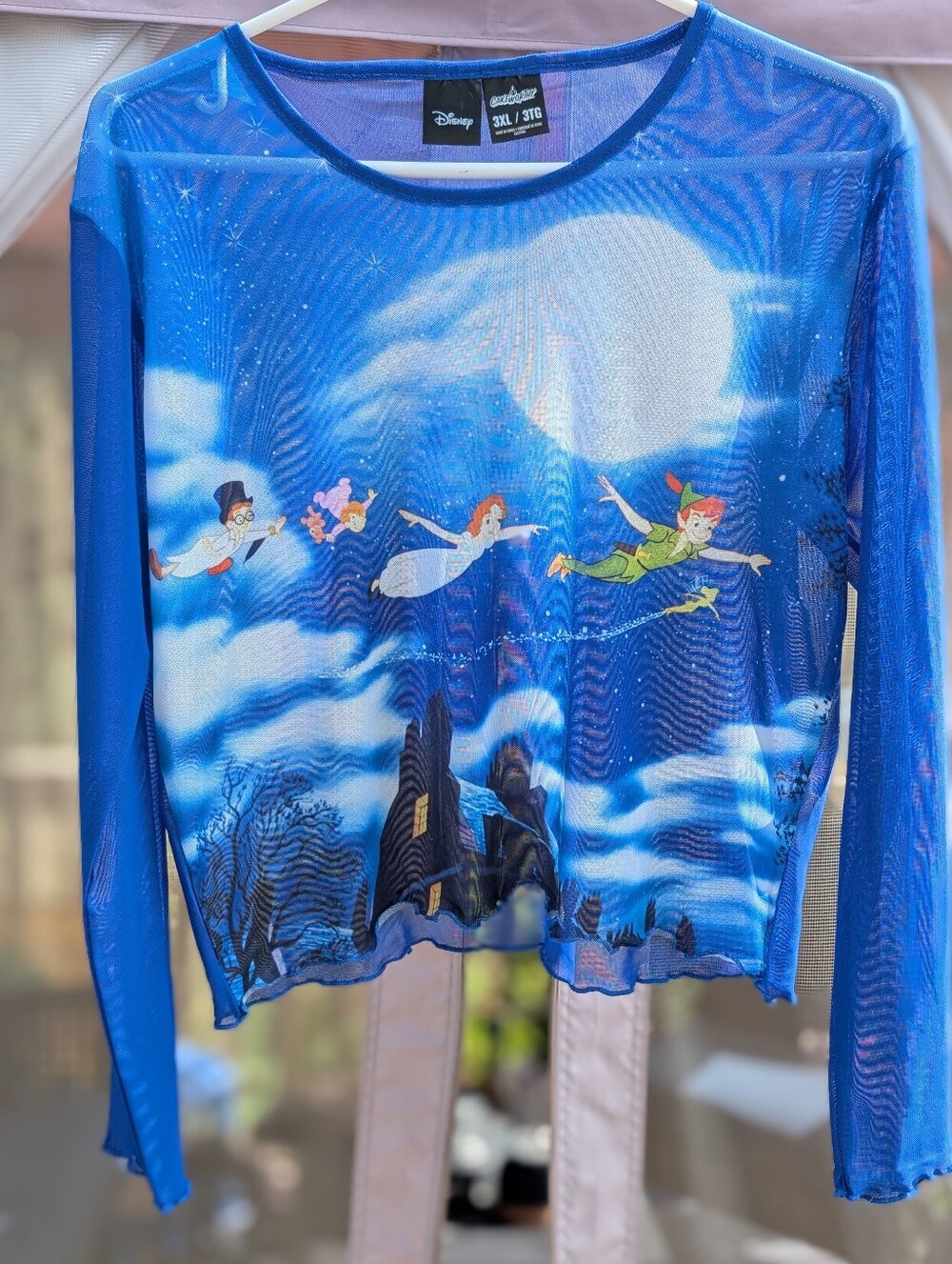 Disney Blue Peter Pan Mesh Crop Top - Sheer Night Sky Print
